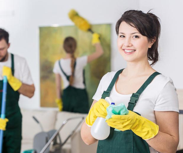 About Higienix Servicios