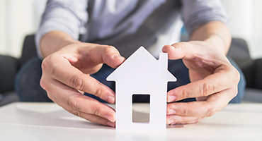 Specialized Services